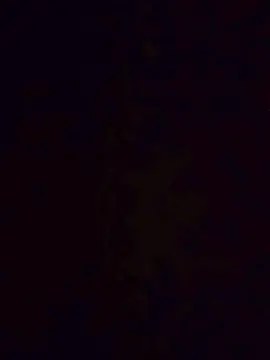 Cam4 Live Sex Cam of Gustabo67