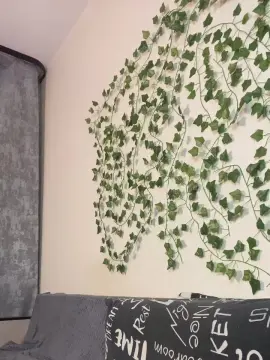 Cam4 Adult Video Chat of bravo_maestro