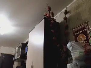 Cam4 Sex Chat of Jessie_Best_Ass