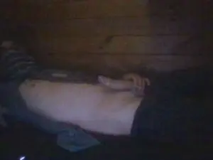 Cam4 Free Live Porn of Mordecai21cm