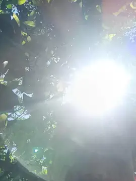 Cam4 Private Sex Chat of TheArBoy