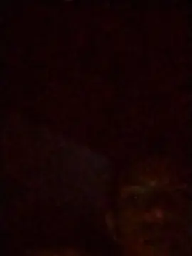 Cam4 Adult Webcams of dondxxx_hot