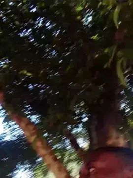 Cam4 Adult Webcam of Cumhardick