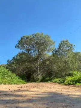 Cam4 Adult Webcam of Morbo131