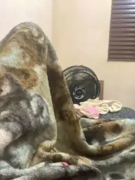 Cam4 Sex Chat of Caduzin244