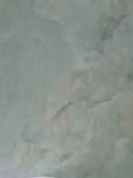 Cam4 Private Sex Chat of Novin_021h