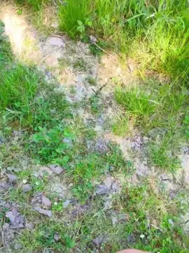 Cam4 Adult Webcams of Freecumfre