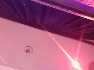 Cam4 Adult Webcam of gomimore