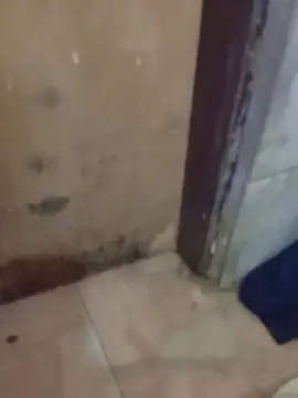 Cam4 Best live sex cam show of Abingosto