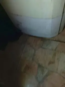 Cam4 Live Sex Cam of Abingosto