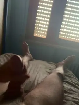 Cam4 Free Porn Cam of Toninox77
