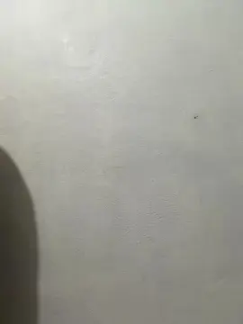 Cam4 Watch Live Sex Cams of king1701