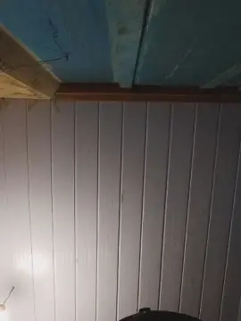 Cam4 Sex Chat of Morenotatuadooo