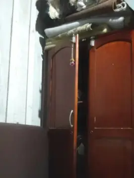 Cam4 Live Sex of Morenotatuadooo