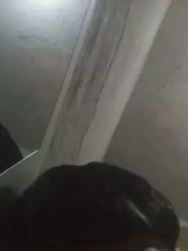 Cam4 Best Webcam of Novinhogtz18y