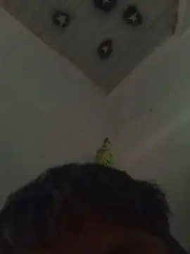 Cam4 Live Sex Cam of Novinhogtz18y