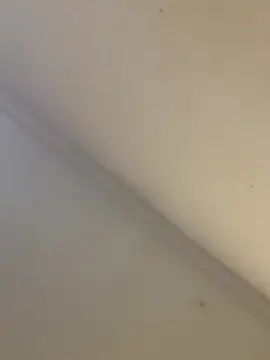 Cam4 Sex Chat of alexis3094