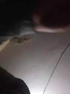 Cam4 Adult Webcams of mcbluemoney