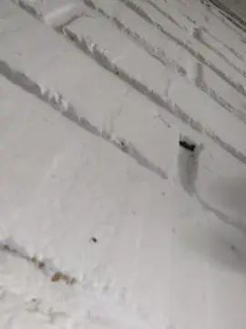 Cam4 Free Porn Cam of anamariaaran