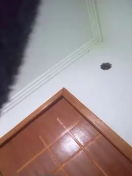 Cam4 Best Webcam of Negaodorio21