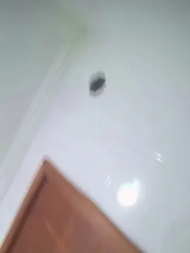Cam4 Private Sex Chat of Negaodorio21