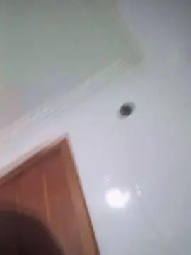 Cam4 Watch Live Sex Cams of Negaodorio21