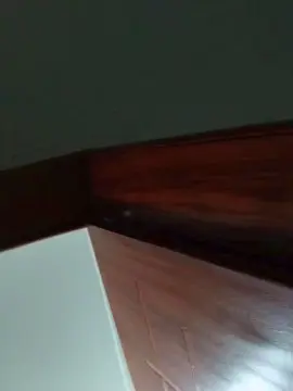 Cam4 Watch Live Sex Cams of Negaodorio21