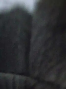 Cam4 Live Porn of Uber_dot_Pr