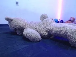 Cam4 Adult Webcams of antonhyjared