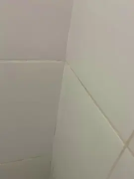 Cam4 Best Webcam of Novo20033