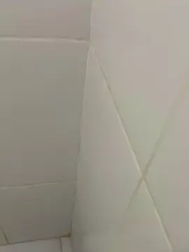 Cam4 Best Webcam of Novo20033