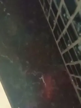 Cam4 Best Webcam of Kelmts