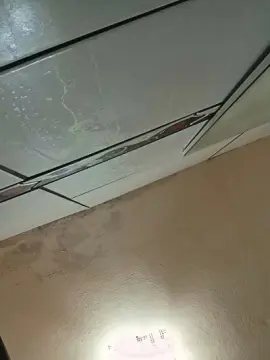 Cam4 Watch Live Sex Cams of Kelmts