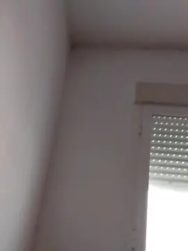 Cam4 Free Porn Cam of pipo304