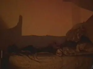 Cam4 Free Porn Cam of WndMxmff