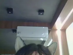 Cam4 Best live sex cam show of SkinnyKittenCam