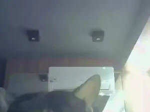 Cam4 Free Live Porn of SkinnyKittenCam