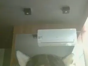 Cam4 Free Porn Cam of SkinnyKittenCam