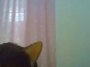 Cam4 Adult Webcam of SkinnyKittenCam