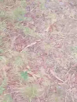 Cam4 Best Webcam of _noahdiaz