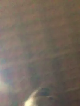 Cam4 Free Porn Cam of Novinhodmcz18cm