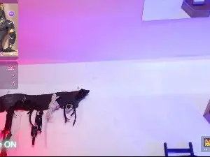 Cam4 Live Porn of subarashi_ishi1