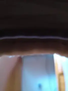 Cam4 Live Porn of davidmasculino