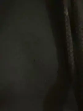 Cam4 Live Porn of Reedtwink