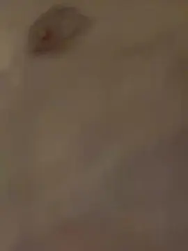Cam4 Best Webcam of Reedtwink