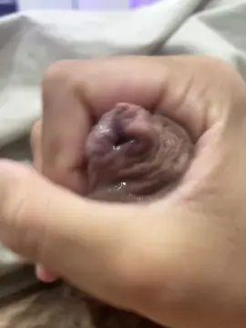 Cam4 Live Sex Cam of Eliassexy33