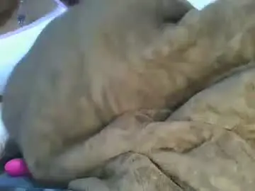 Chaturbate Adult Webcams of cilia_petite