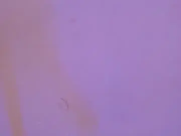 Chaturbate Sex Chat of sashajune