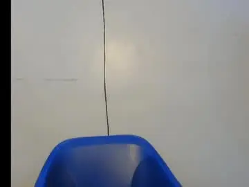 Chaturbate Free Porn Cam of shena_xnomy