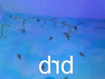 Chaturbate Best Webcam of miss_evans_